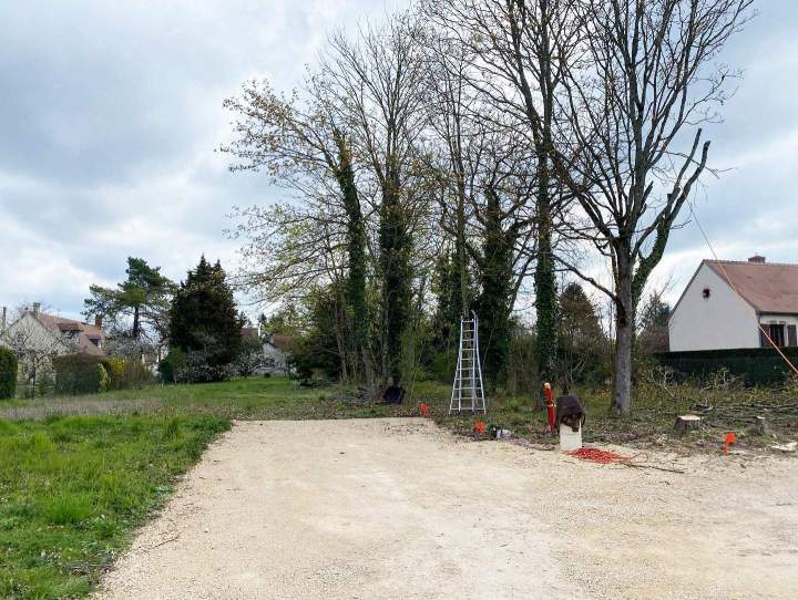 Différentes techniques de taille d'arbres