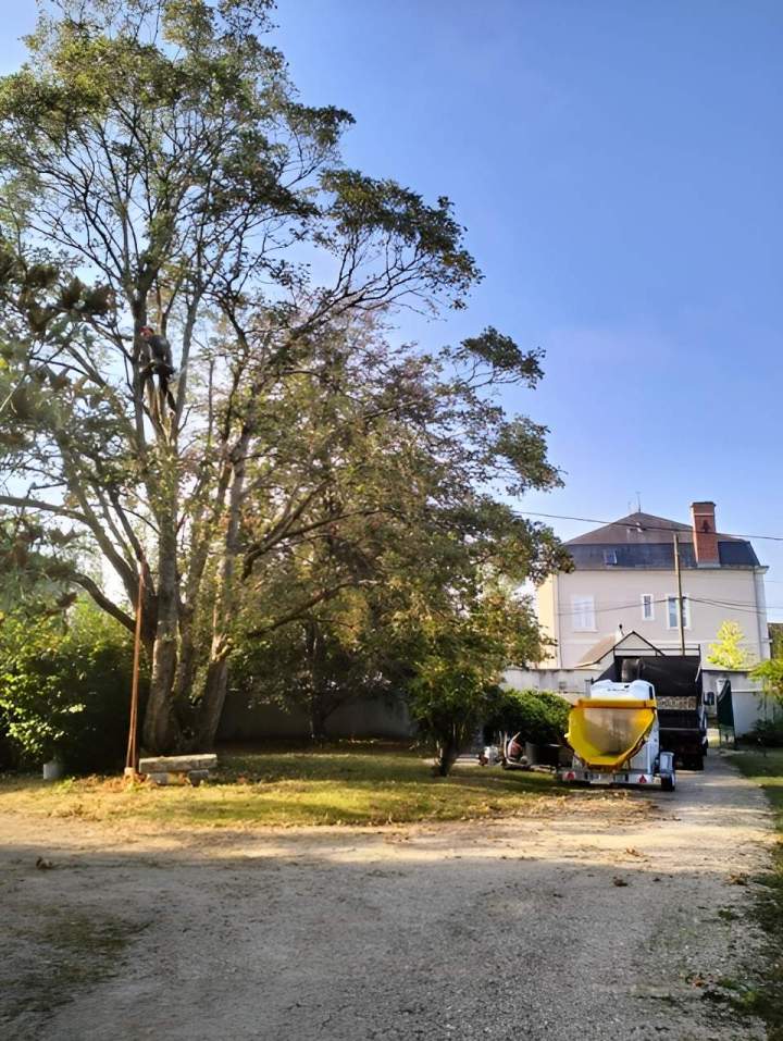 Abattage arbre Bourges