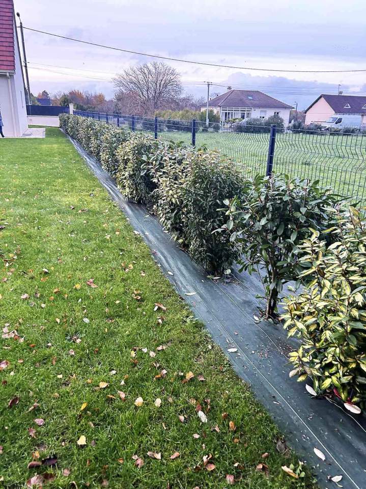 Entretien jardin Bourges